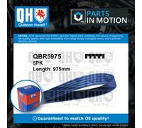 5 Rib Multi V Drive Belt fits DAEWOO LANOS KLAT 1.3 1997 on A13SMS QH 96144933