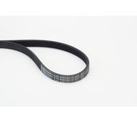 CONTITECH 5PK868ELAST V-ribbed Drive Belt
