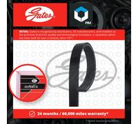 Gates 5PK1343 V-Ribbed Belt