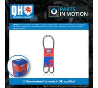 Quinton Hazell QBR51350 Drive Belt