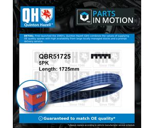 5 Rib Multi V Drive Belt QBR51725 Quinton Hazell 129970192 129977592 A0129970192