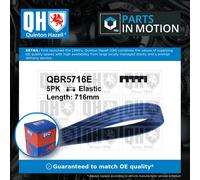 5 Rib Multi V Drive Belt QBR5716E Quinton Hazell LF5115908 LF5115908A LF5115908B