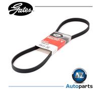 Multi-ribbed V-belt 5PK1123 GATES for CITROËN PEUGEOT MITSUBISHI TOYOTA BMW OPEL