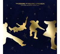 5 Seconds of Summer - The Feeling of Falling Upwards [VINYL]
