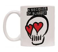 5 Seconds of Summer Boxed Standard Mug: Logo