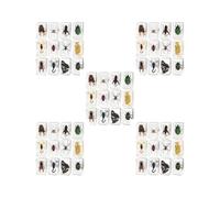 5 set of 12 Pieces Animal in Resin Collection for Classroom Biologists Boys and Girls