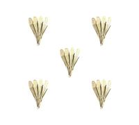 5 set of Jaw Harp Musical Instrument Gift Kids Easy to Play Yi Nationality Mouth Harp with 4 Leaves 7 cm