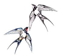 5 sheets Of Swallow Tattoo Stickers Literary Girl'S Clavicle Wrist Waterproof Long-Lasting Color Black And White Tattoo Tattoo