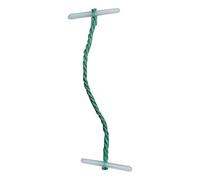 5 Star Treasury Tags Plastic-ended 76mm Green [Pack of 100]