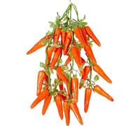 5 Strings Simulated Vegetable Skewers Artificial Carrot Decor Photography Props Fuit Fruits Vegetable Garland