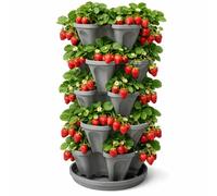 5-Tier Stackable Strawberry Garden - 24 Quart Indoor/Outdoor Stacking Planter with Drip Saucer - Grow Herbs, Strawberries, and Flowers from The Kitchen or Backyard - Plant and Stack! Easy Gardening