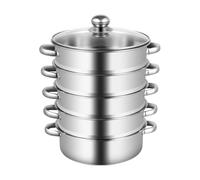 5 Tiers Stainless Steel Steamer Pan for Cooking, Stock Pot with Handles, Glass Lid, for Gas Stove, Furnace, Electric Halogen Oven Induction Hob, Silver, 26cm