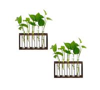 5 Tubes Wall Hanging Hydroponic Plant Propagation Glass Vase with Wooden Stand,Desktop Terrarium Planter for Office Wall