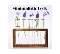5 Tubes Wall Hanging Hydroponic Plant Propagation Glass Vase with Wooden Stand,Desktop Terrarium Planter for Office Wall