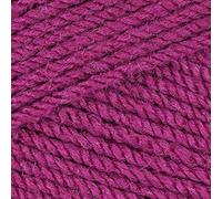 5 x 100g Stylecraft Special DK Double Knit Wool/Yarn Pack of Five (5 x 100g Boysenberry 1828)