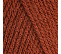 5 x 100g Stylecraft Special DK Double Knit Wool/Yarn Pack of Five (5 x 100g Copper 1029)