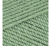 5 x 100g Stylecraft Special DK Double Knit Wool/Yarn Pack of Five (5 x 100g Cypress 1824)