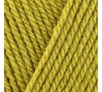 5 x 100g Stylecraft Special DK Double Knit Wool/Yarn Pack of Five (5 x 100g Lime 1712)