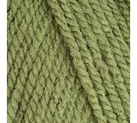 5 x 100g Stylecraft Special DK Double Knit Wool/Yarn Pack of Five (5 x 100g Meadow 1065)