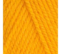 5 x 100g Stylecraft Sunshine 1114 Double Knitting Wool 100g