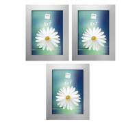 5 x 7 Inches Silver Picture Frames with Glass Front Ready to hang, Stand Rectangular Photo Frame Silver Border Document Frame Perfect Art Print Poster For Any Wall Decoration Present for New House (3)