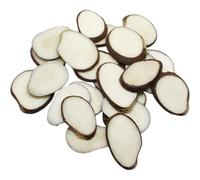 5 x Fair Trade Ecuador Raw Unpolished Vegan Tagua Nut Slices XL