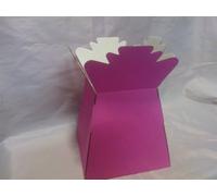 5 x Hot Pink Florist Aqua Boxes - Living Vases - Hand Tie Boxes
