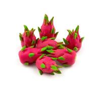 5 x MyTinyWorld Dolls House Miniature Handmade Whole Dragonfruits