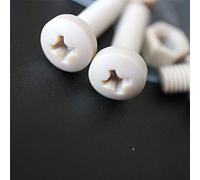 5 x PEEK Pan Head Screw M5 x 20mm Nuts & Bolts - Peek Plastic Nuts and Bolts, Anti Corrosion, Chemical Resistant, high Temperature Resistance, Non-Expanding