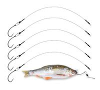 5 x Pike Dead Bait Rigs for Pike Zander Fishing Trace Hooks Live Bait - Ready to go! Size 2 4 6 8 (6, Barbless)