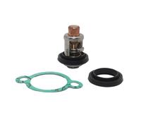 50℃ 125℉ Thermostat Outboard Motor Assembly Cooling System Fit For Outboard 4 5 6 8 9.9 15 55 75 100 HP