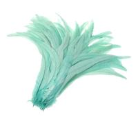 50-500 Pcs Hot Rooster Tails Feather 25-30 Cm 10-12 Inch Feather for Wedding&Christmas Decorations Crafts Mint EN8 25-30cm 500pc