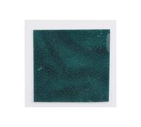 50 * 50mm Magnetic Field Viewer Card, Magnet Pattern Viewing Film, Scientific Observation Tool for Magnetic Fields Visualization, Includes Portable Dark Green Film for Quality Cont