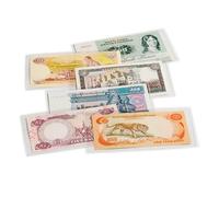 50 banknote sleeves Leuchtturm Basic, 158 x 75 mm