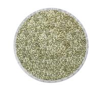 50 Classic Colours Fine Glitter Dust Nails Art Face Body Eye Shadow Craft Paint (Champagne Silver - B0102) (Sample Size)