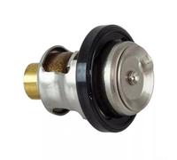 50 Degree Thermostat for Suzuki Marine Outboards DF40 DF50 DF60 DF70 Models and DT Series Engines 9 9 20 25 30 55 65 Replacement 17670 93962 17670 93963
