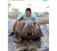 50 First Dates (2004) Adam Sandler 10x8 Photo