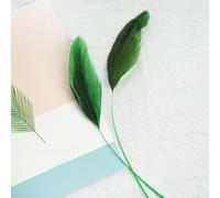 50 Handmade Feathers Clothing Bag Decoration Material Colorful Feathers Emerald Green