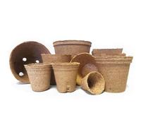 (50) Jiffy Coir Organic Biodegradable Plant / Flower Pots 6x6cm