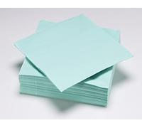 50 napkins wadding 33x33 cm 2V 100% Nature Aqua - FSC