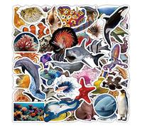 50 Ocean Animal Stickers for Kids Children, Real Marine Fishes Image Stickers for School Reward, Party Bag Filler, Great for Boys Girls to Decorate Scooter, Box, Bike, Water Bottle (Ocean)