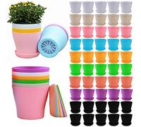 50 Pack 4 Inch Plant Pots Bulk Small Plastic Planters Pots with Drainage Holes Flower Pot for Succulent, Cactus, Herb, African Violet (50pcs-Multicolor, 4Inches)