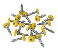 50 Pack Of Durable Yellow Numberplate Screws - 4.8 X 24mm Plastic Fixings