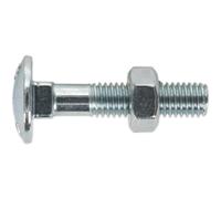 50 PACK Zinc Plated Coach Bolt and Nut - M8 x 40mm - 1.5mm Pitch - DIN 603