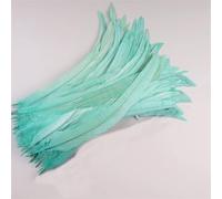 50 Pcs 35-40 Cm Rooster Tail Feathers for Crafts Carnival Accessories Decoration Feather Headdress Mint EN8 35-40cm 500Pcs