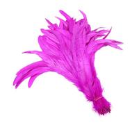 50 Pcs 50 33-40cm Natural Rooster Tail Plumes