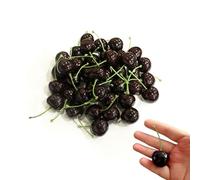 50 Pcs Artificial Cherry Decorations 0.98 inch Fake Cherries Fruit Lifelike Cherry Fake Fruit Model for Party Decor Home Kitchen Cabinet Photography Prop,Black
