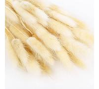 50 Pcs Bunny Tails Dried Flowers Pampas Grass Decor Rabbit Tail Grass Artificial Plant Dried Flower Bouquet Dry Floral Arrangement for Baby Shower Decor Farmhouse Birthday Party Wedding Decorations