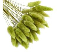 50 Pcs Bunny Tails Dried Flowers Pampas Grass Decor Rabbit Tail Grass Artificial Plant Dried Flower Bouquet Dry Floral Arrangement for Baby Shower Decor Farmhouse Birthday Party Wedding Decorations