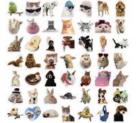 50 Pcs Cat and Dog Meme Stickers for Kids Teens Adults Boys Girls Gift,Meme Stickers Pack for Laptop,Skateboard,Luggage,Car,Bike, Cup,Computer,Water Bottle Decor,Vinyl Waterproof Sticker Decals